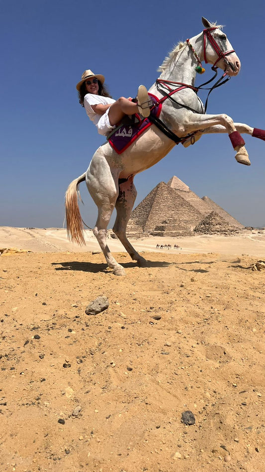 What All Activities Can You Do In Egypt - DIYTINERARY