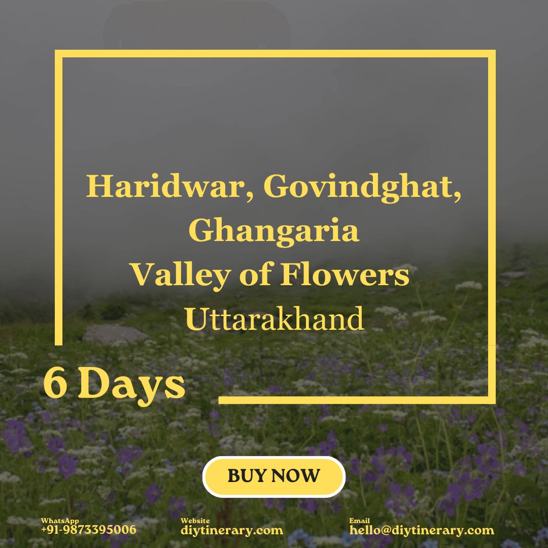 Valley of Flowers - Haridwar, Govindghat, Ghangaria - Uttarakhand, India | 6 days (Asia) - DIYTINERARY - SINGH SISTERS PVT LIMITED