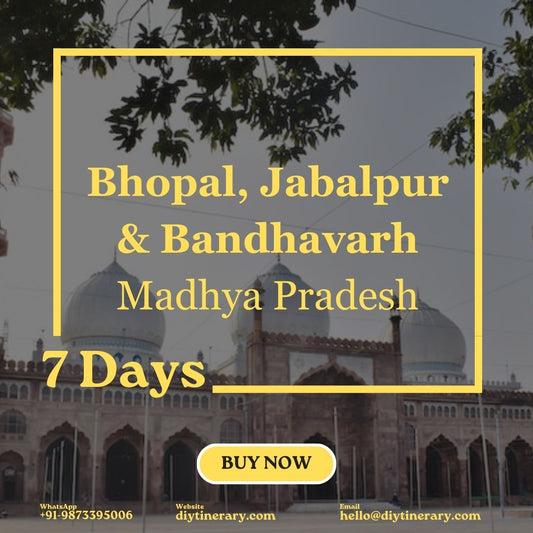 Bhopal, Jabalpur & Bandhavarh, Madhya Pradesh | 7 Days (India) - DIYTINERARY