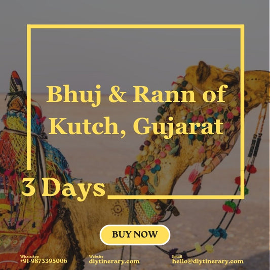 Bhuj & Rann of Kutch, Gujrat | 3 Days (India) - DIYTINERARY